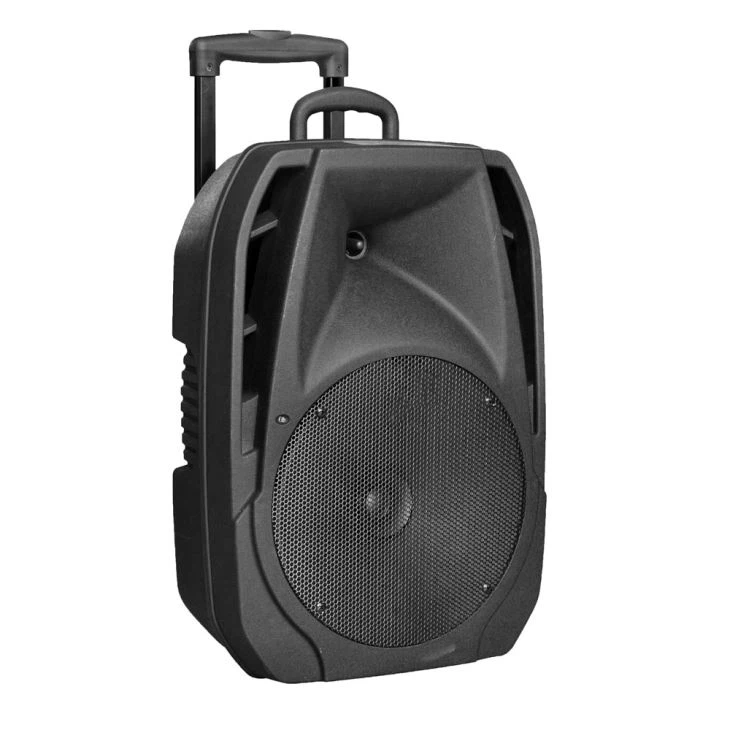100 Watt Bluetooth Stage Dj Speakers