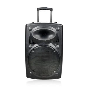 کلاسیکی بی ٹی اسپیکر